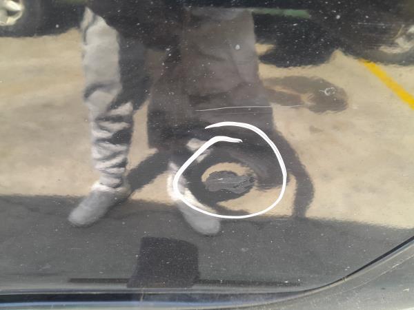 Porta trás esquerda NISSAN Leaf EV (ZE0) Imagem-3