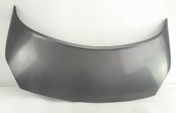 Capot RENAULT Scénic II (JM0/1_)