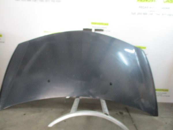 Capot RENAULT Clio III (BR0/1, CR0/1) Imagem-1