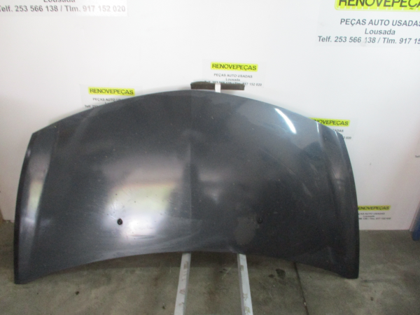 Capot RENAULT Clio III (BR0/1, CR0/1)