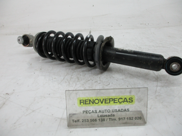 Conjunto amortecedores trás CITROËN C5 III (RD_)