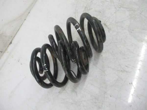 Conjunto molas trás AUDI TT (8N3) Imagem-3 Conjunto molas trás AUDI TT (8N3) Imagem-3
