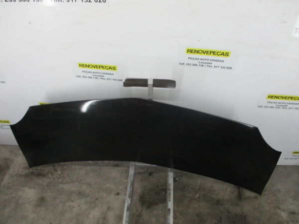 Capot RENAULT Modus/Grand Modus (F/JP0_) Imagem-2