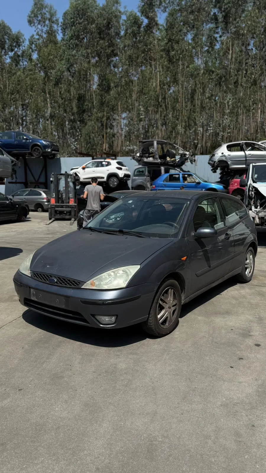 Focus I Carrinha Van  FORD Focus I Carrinha Van (DNW)