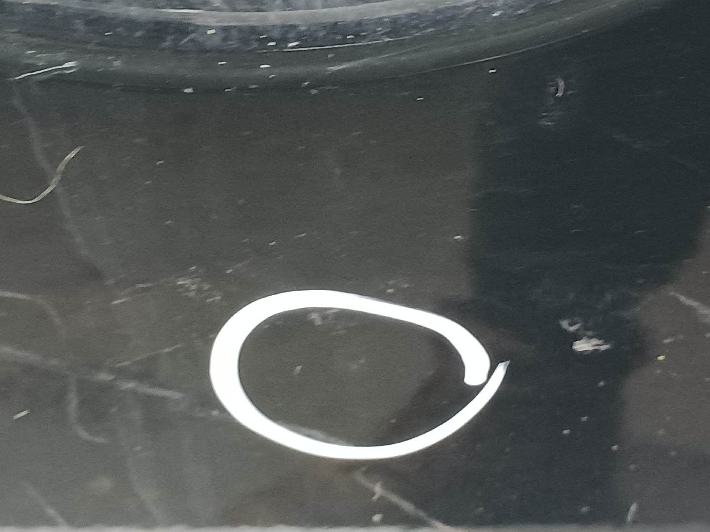 Porte avant gauche MINI Mini Cabrio (R57) Imagem-3