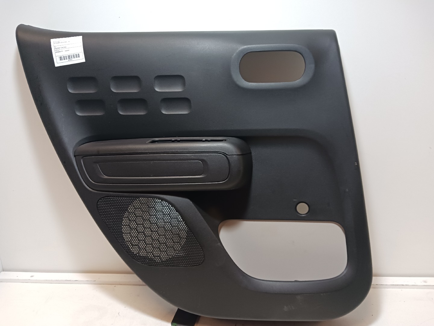 Panneau de porte arrière gauche CITROËN C3 III (SX)