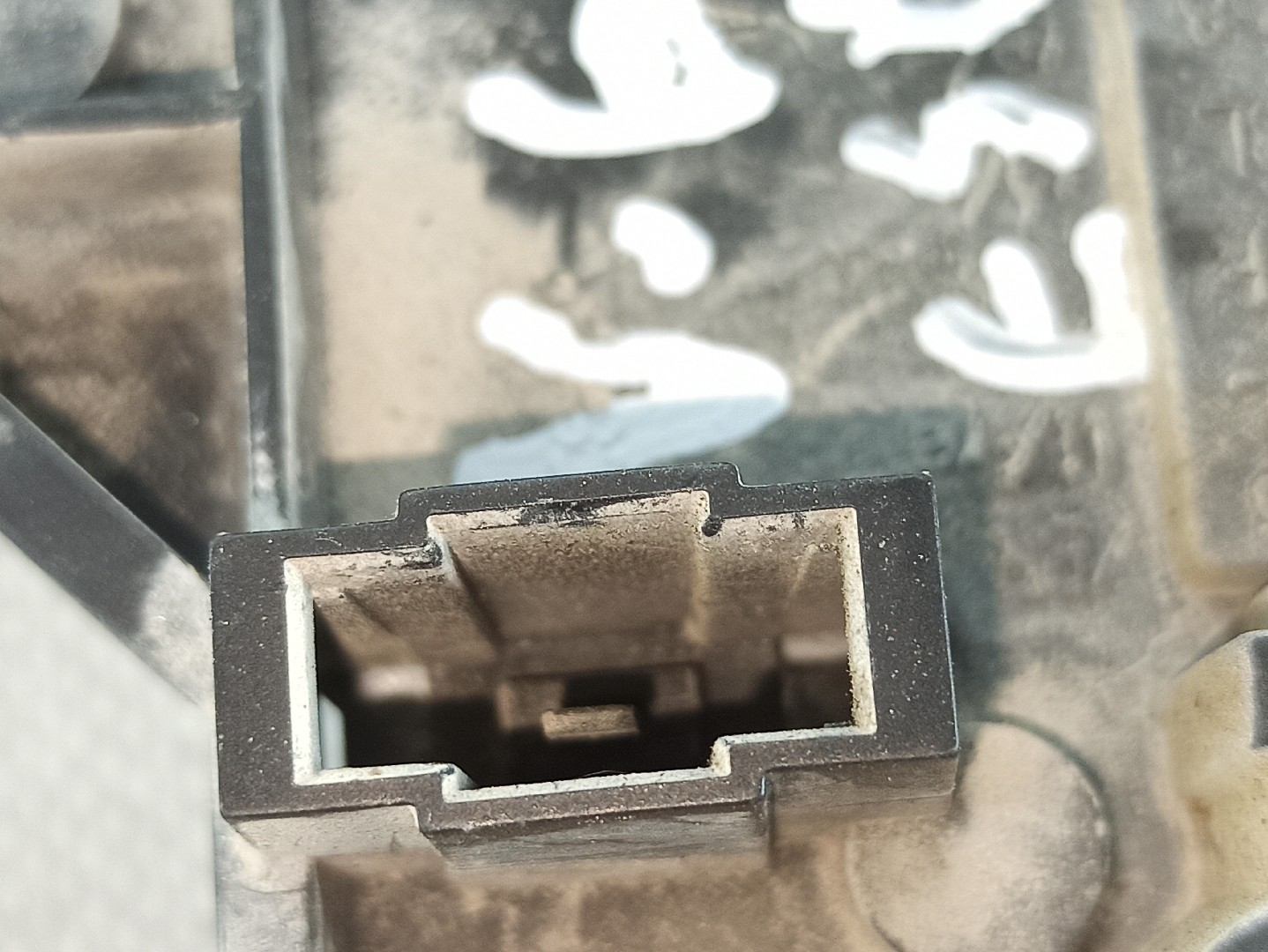 Suporte lâmpada esquerdo VOLKSWAGEN Golf III (1H1) Imagem-3