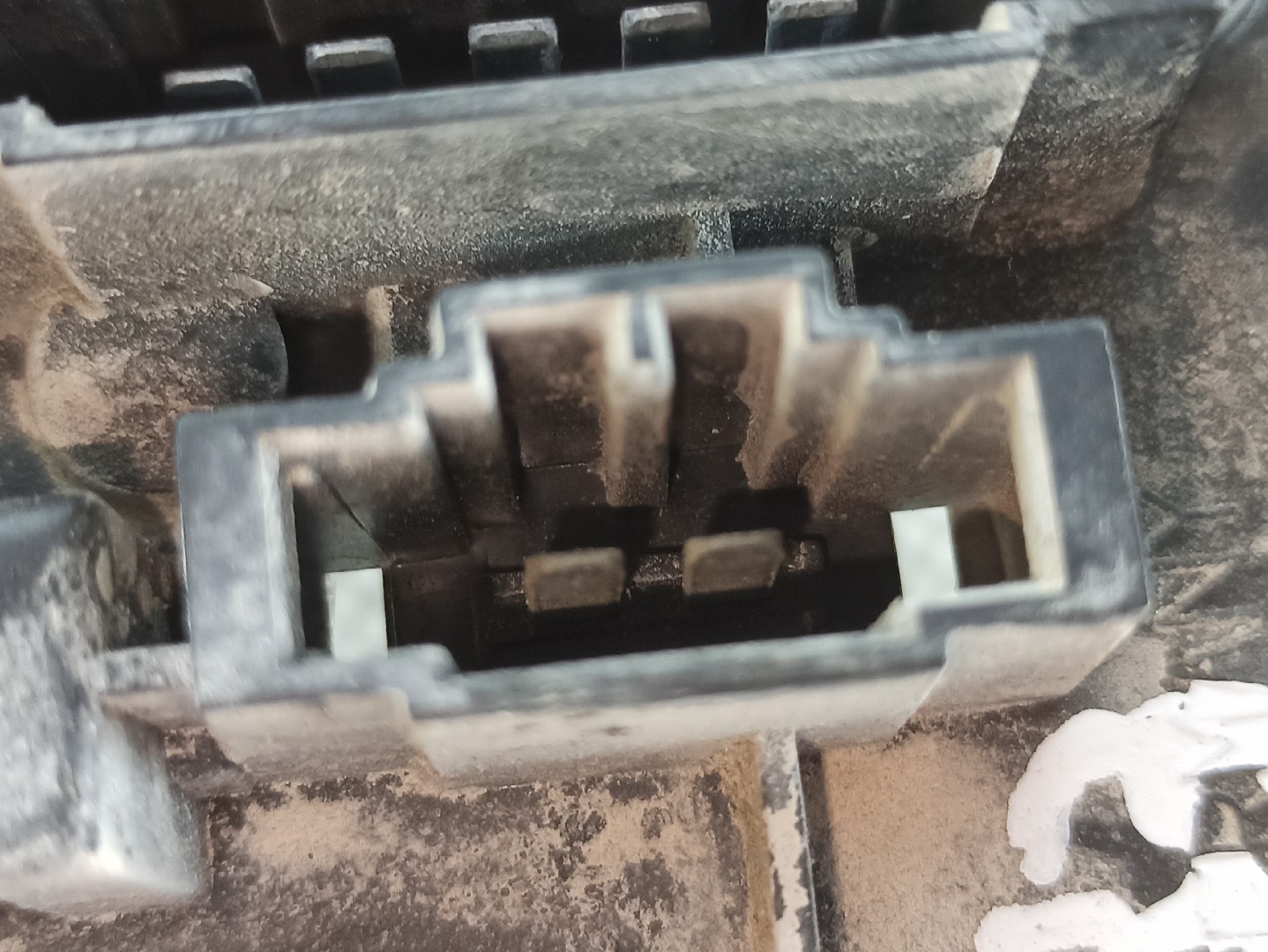 Suporte lâmpada esquerdo VOLKSWAGEN Golf III (1H1) Imagem-6