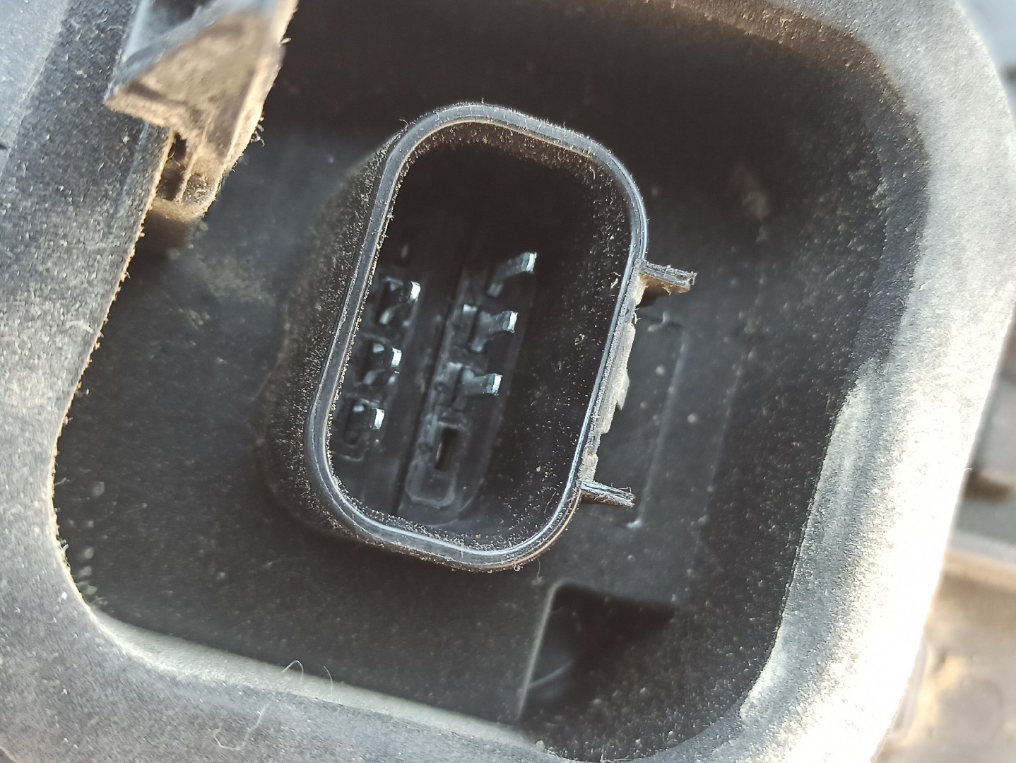 Suporte lâmpada esquerdo CITROËN Jumper Furgão Imagem-5