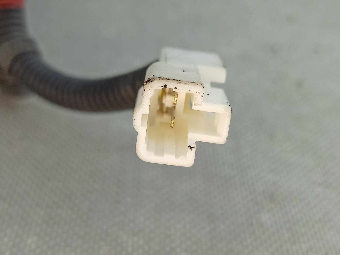 Fibbia cintura posteriore sinistra KIA Sportage IV (QL) Imagem-4