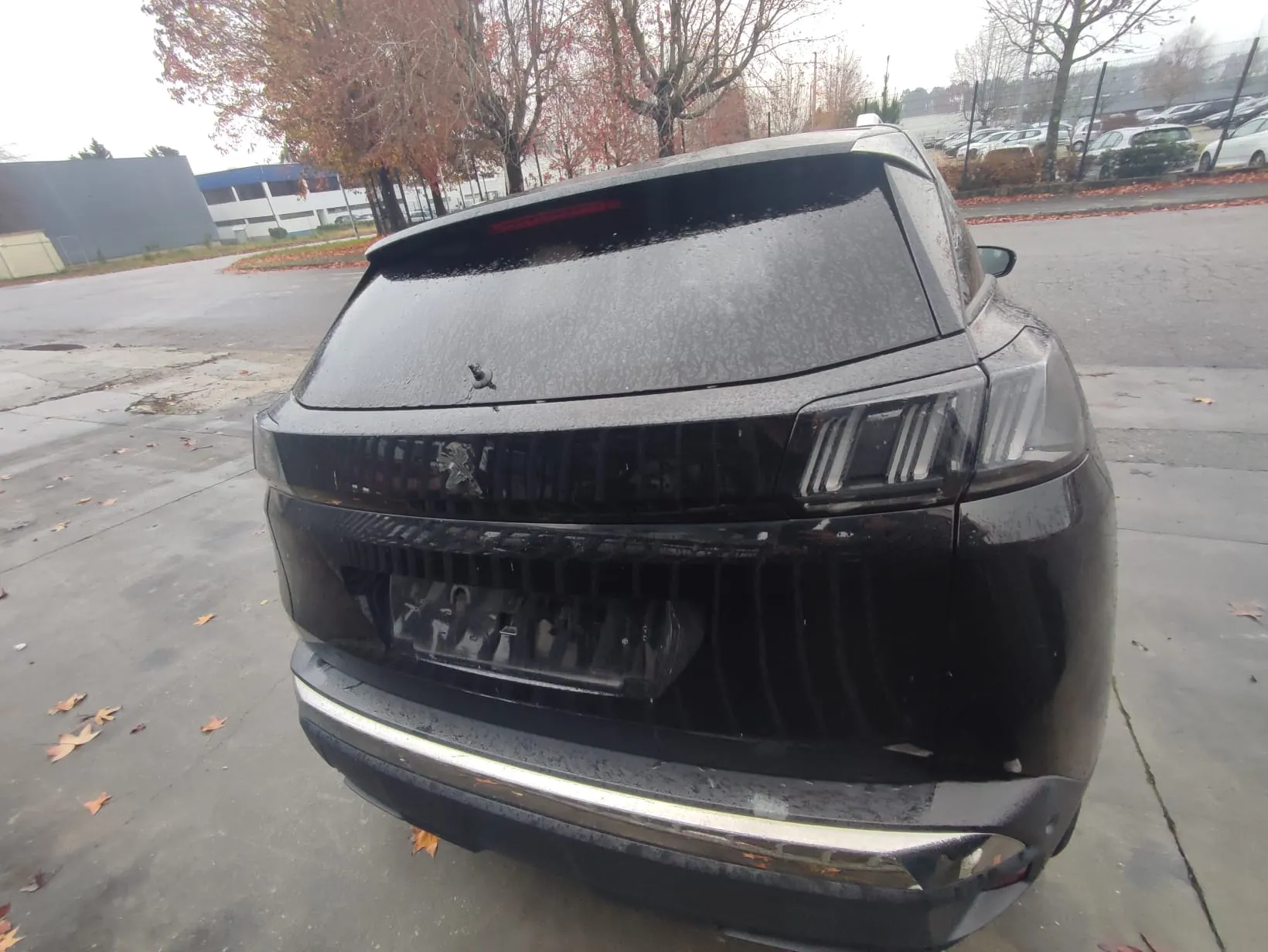3008 II  PEUGEOT 3008 II (M_) Imagem-5
