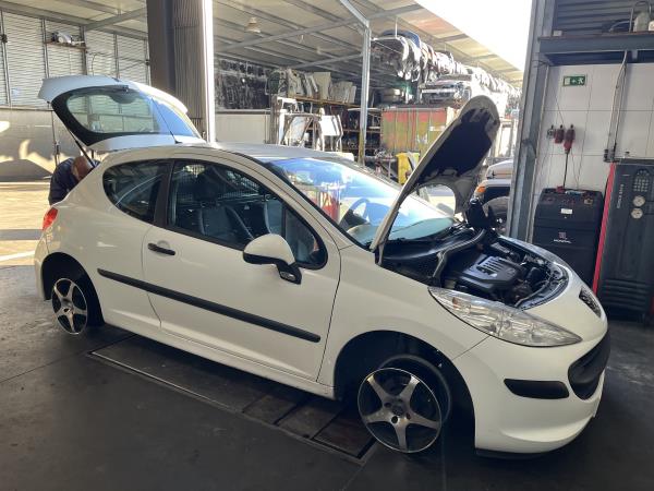 207 Van PEUGEOT - ID V_1005