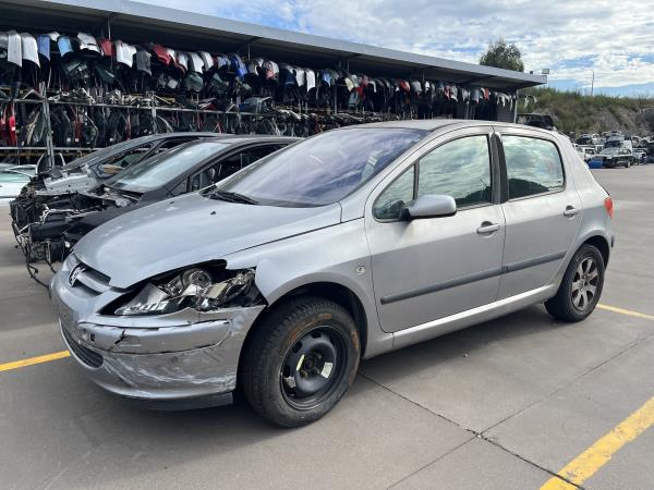 307  PEUGEOT - ID V_909