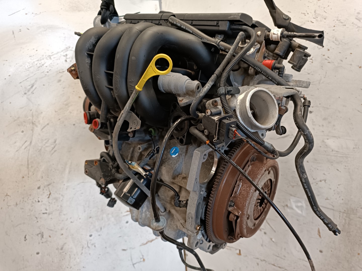 Motor FORD PUMA (EC_) | 97 - 02