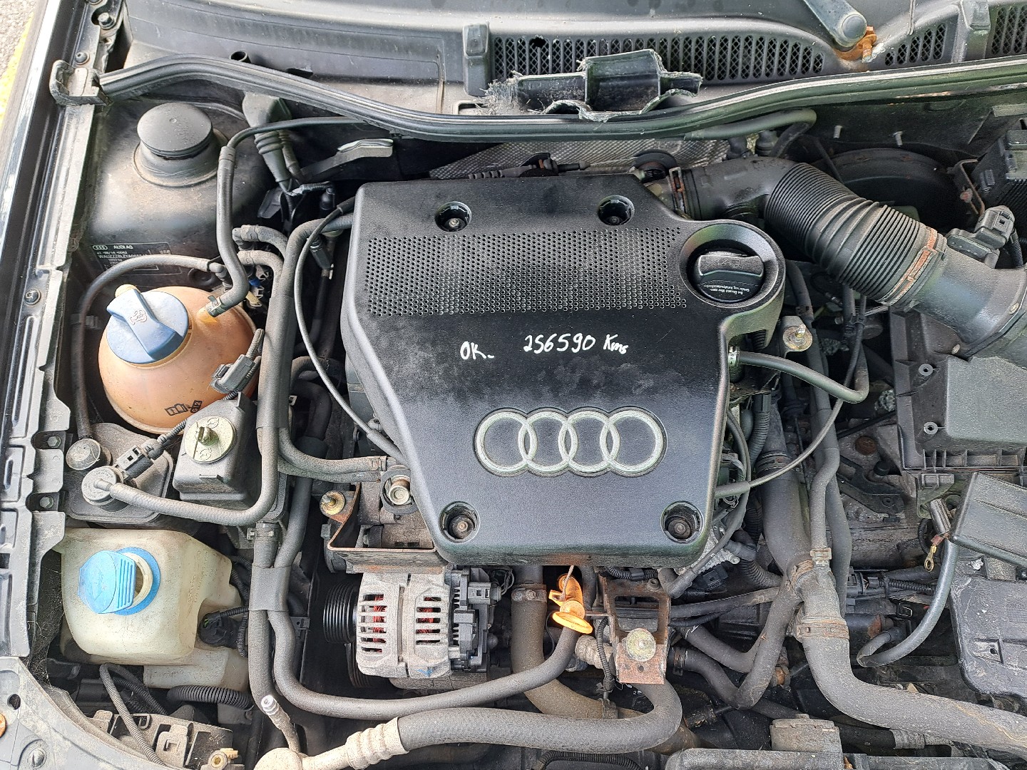 Motor AUDI A3 (8L1) | 96 - 06