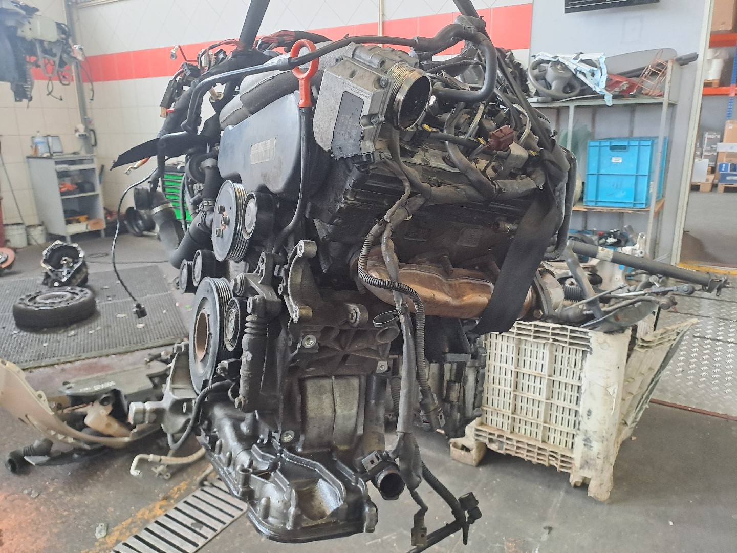Motor AUDI A6 Avant (4F5, C6) | 04 - 11