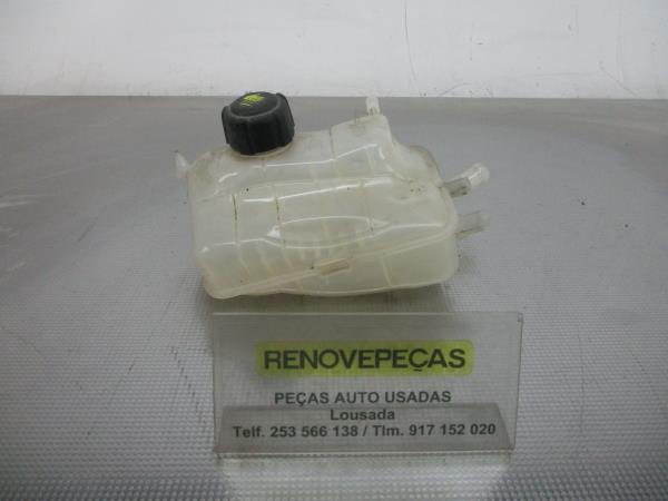 Vaso Expansao / Radiador RENAULT MEGANE III Hatchback (BZ0/1_) | 08 - 