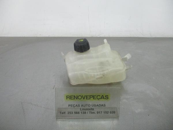 Vaso Expansao / Radiador RENAULT MEGANE III Hatchback (BZ0/1_) | 08 - 
