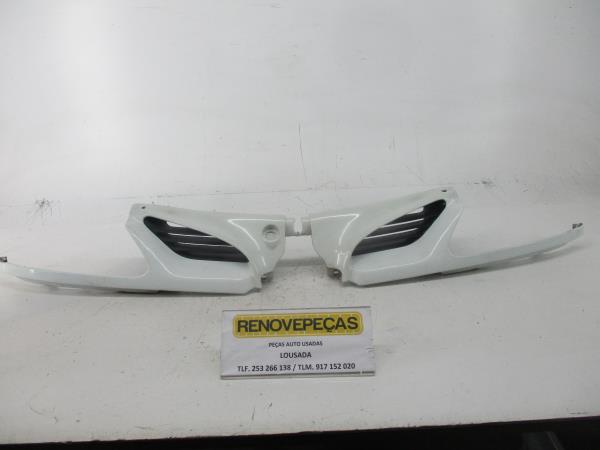 GRIGLIA PARAURTI RENAULT MEGANE I (BA0/1_) | 95 - 04