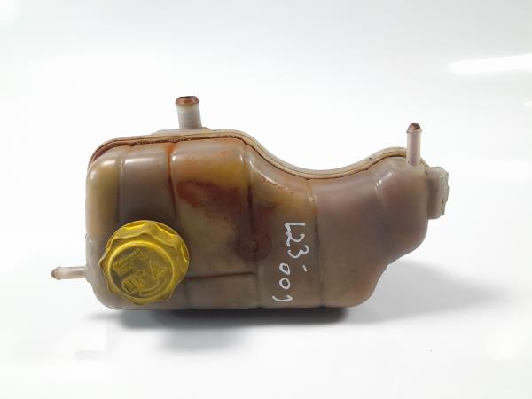 Vaso Expansao / Radiador FORD FIESTA Caixa (JV_) | 98 - 03