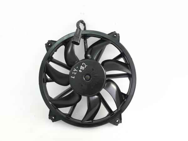 Termoventilador CITROEN C4 II (B7) | 09 - 