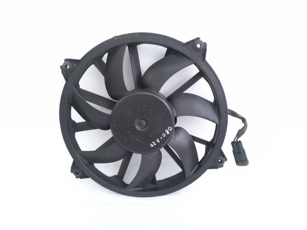 Termoventilador CITROEN DS4 | 11 - 15