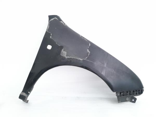 Guarda Lamas Dto SKODA FABIA I (6Y2) | 99 - 08