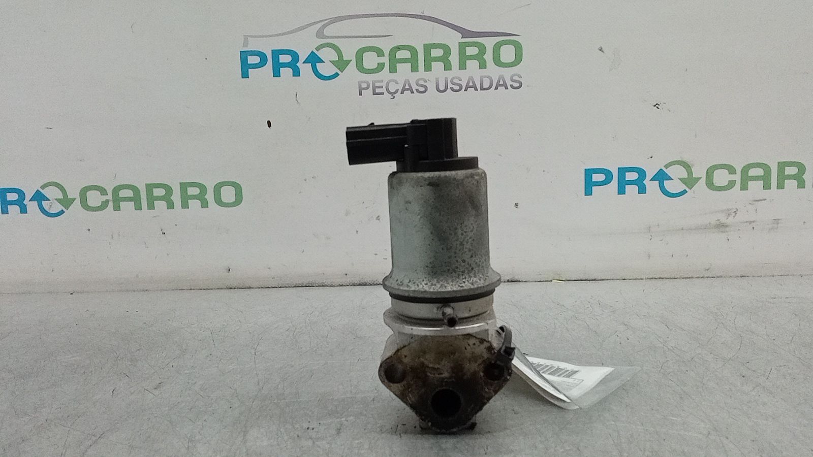 Válvula EGR (20384652).