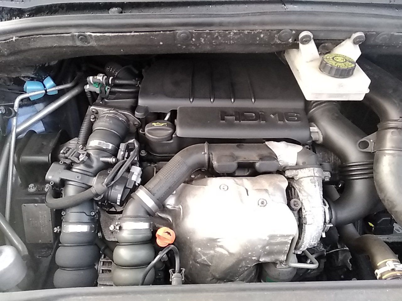 Bloco do Motor (20386069).