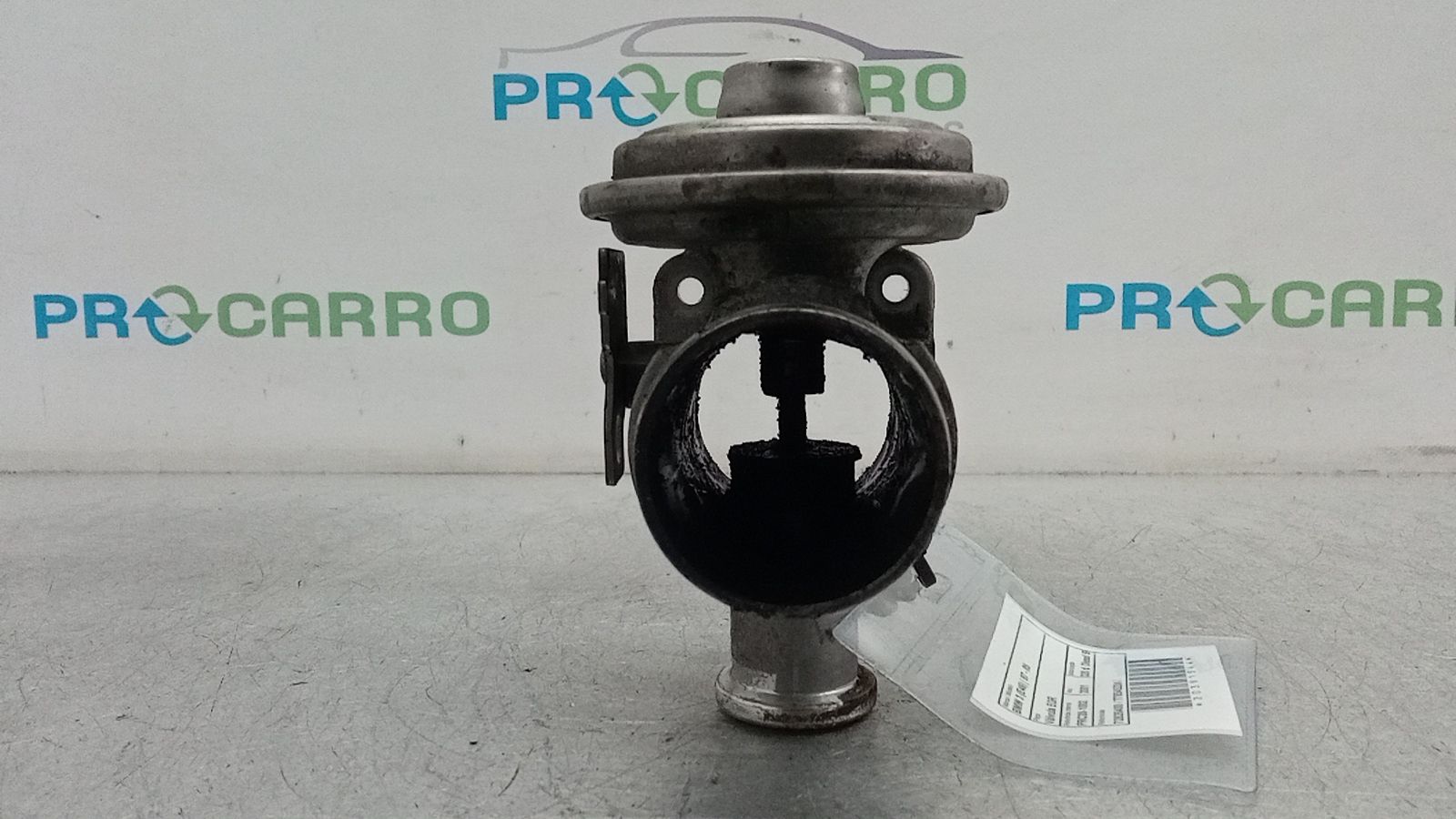 Válvula EGR (20391544).