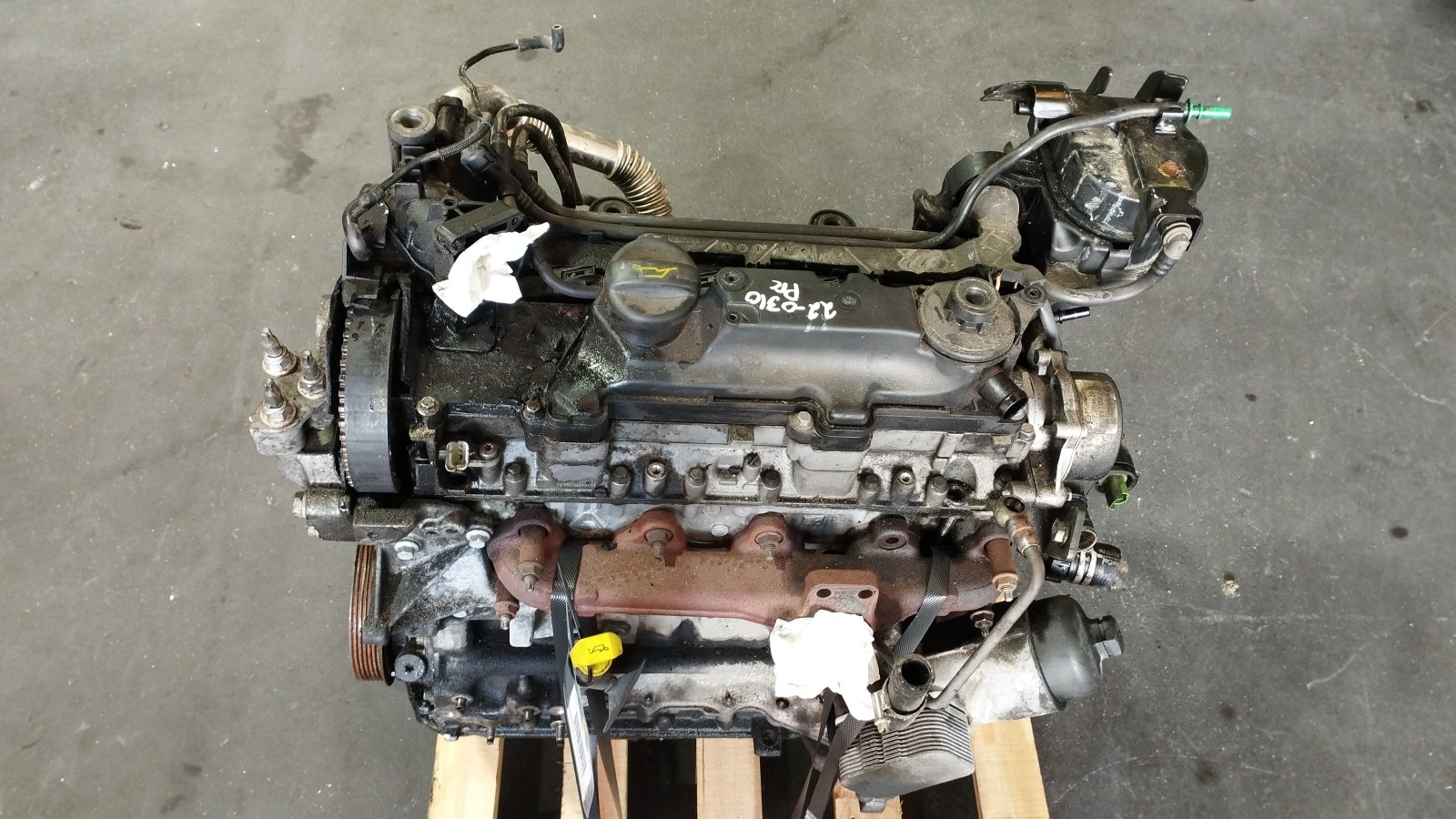 Motor Completo FORD FIESTA VI (CB1, CCN) | 08 - 