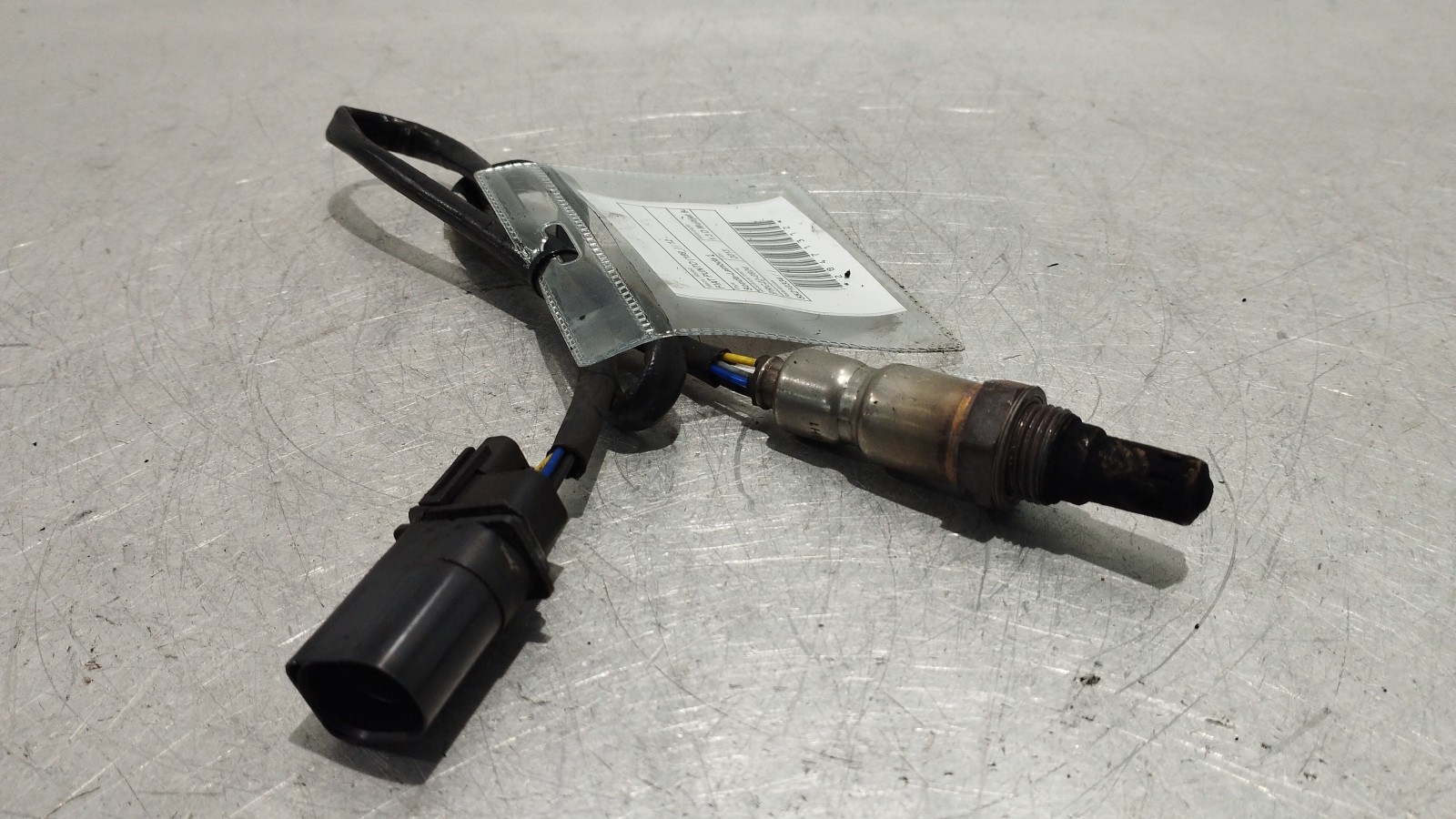 Lambda probe FIAT PUNTO (199_) | 12 - 