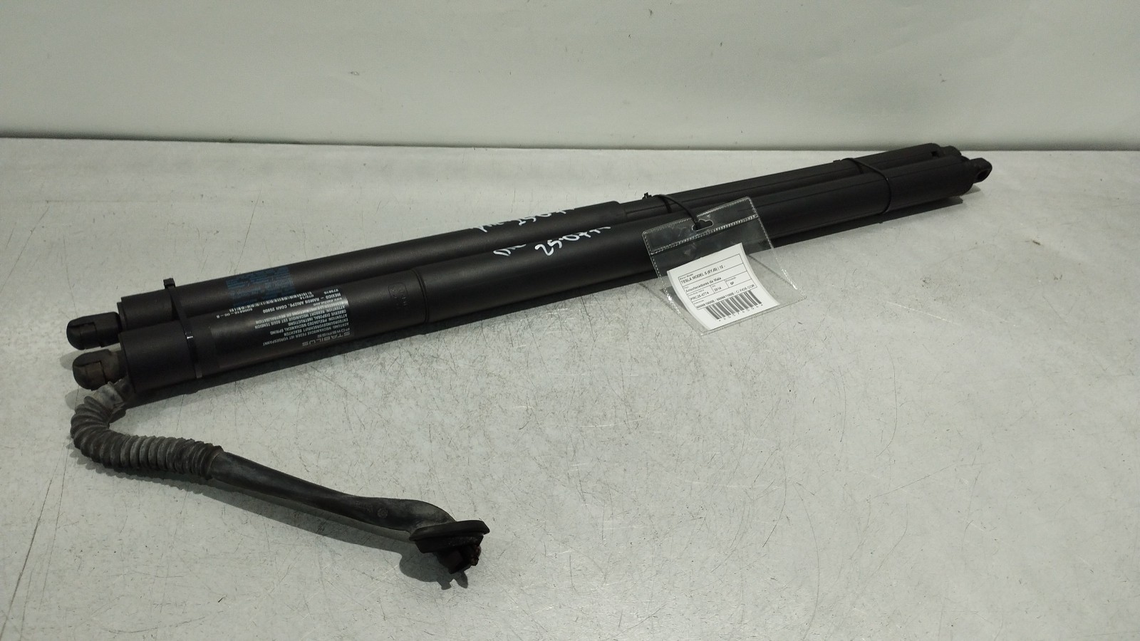 Tailgate strut TESLA MODEL S (5YJS) | 12 - 