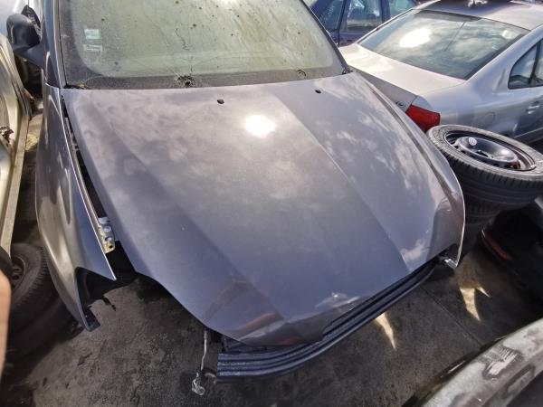 Hood LANCIA DELTA III (844_) | 08 - 14