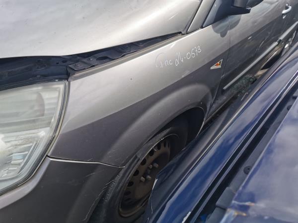 Guarda Lamas Esq RENAULT GRAND SCÉNIC II (JM0/1_) | 04 - 09