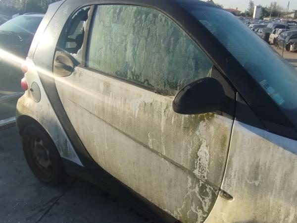 Painel Porta Frente Drt SMART FORTWO Coupé (451) | 07 - 