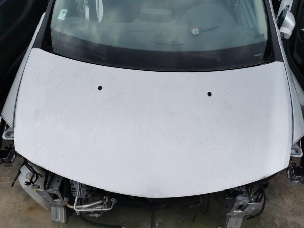 Capot RENAULT CLIO III (BR0/1, CR0/1) | 05 - 