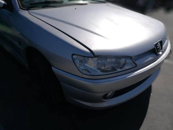 Guarda Lamas Dto PEUGEOT 306 (7B, N3, N5) | 93 - 03