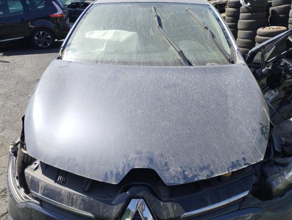 Hood RENAULT CLIO IV (BH_) | 12 - 