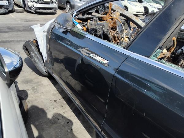 Left front door TESLA MODEL S (5YJS) | 12 - 