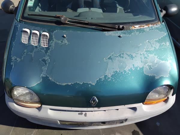 Hood RENAULT TWINGO I (C06_) | 93 - 12