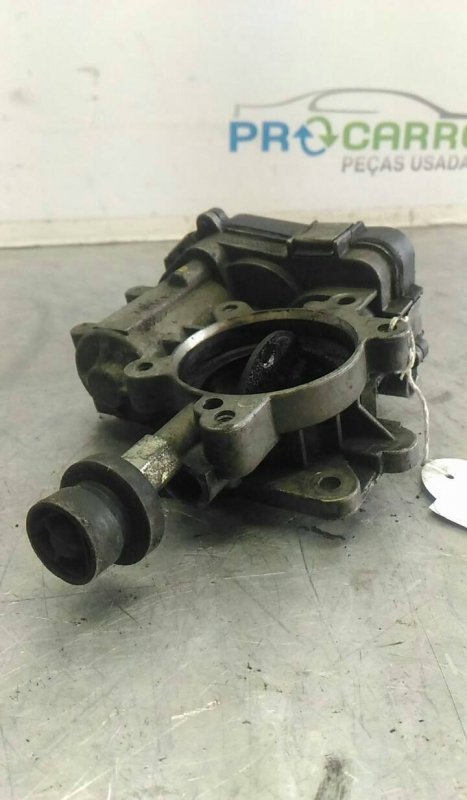 Corpo Borboleta 2 (20182337).