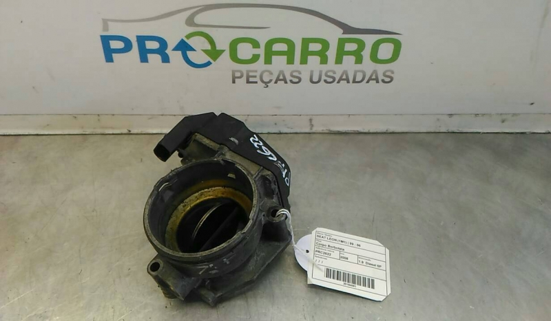 Corpo Borboleta 2 (20194581).