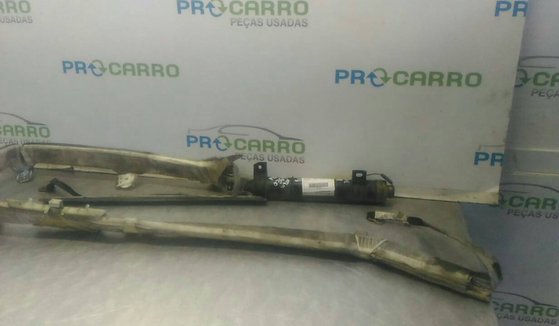 Airbags de Cortina Dto (20207595).