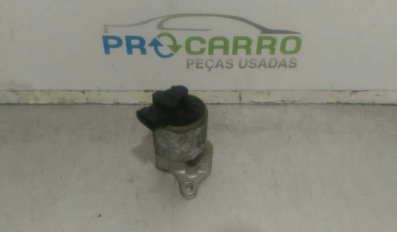 Válvula EGR (20239408).