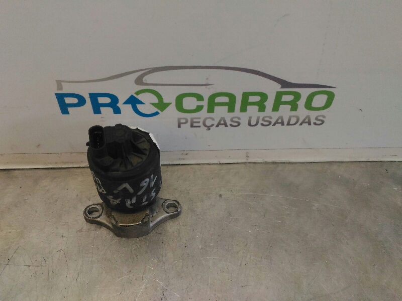 Válvula EGR (20242158).