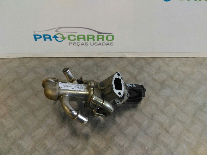 Válvula EGR (20242356).