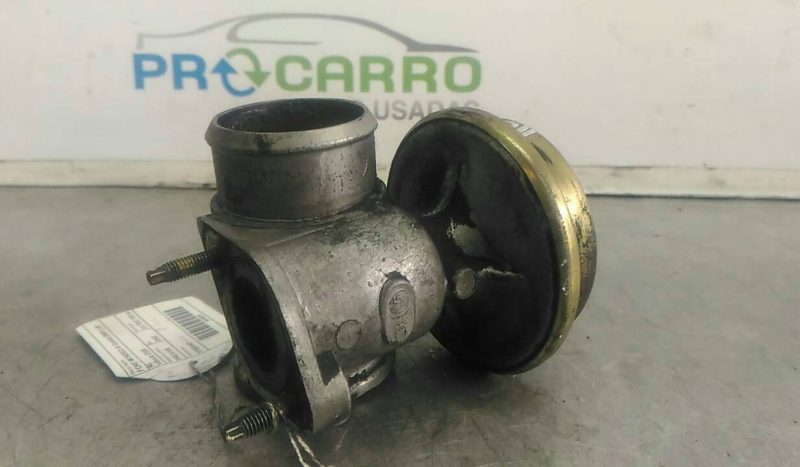 Válvula EGR (20249225).