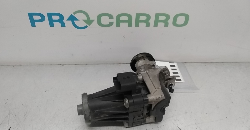 Válvula EGR (20249494).