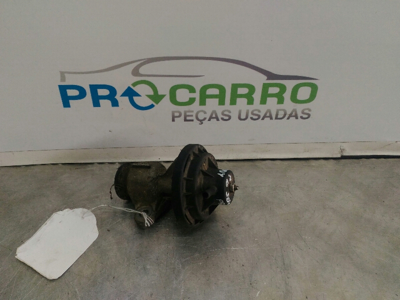 Válvula EGR (20256663).